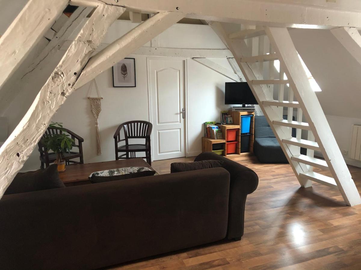 Le Grand Appartement - 90M2- 2 Chb , 1 Mezzanine - 6Pers Romorantin-Lanthenay Εξωτερικό φωτογραφία